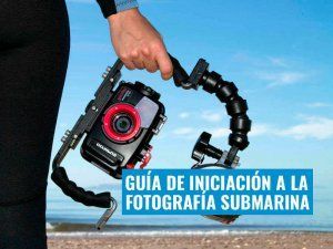 aprende fotografía submarina guia de iniciacion