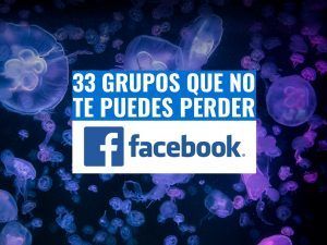 grupos facebook buceo