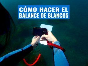 portada-como-hacer-el-balance-blancos-fotosub-3