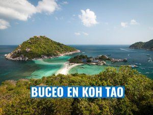 buceo-en-koh-tao-tailandia-2