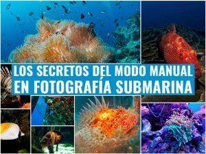 Modo-manual-en-fotografia-submarina