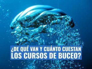 cursos-de-buceo-precio-que-son