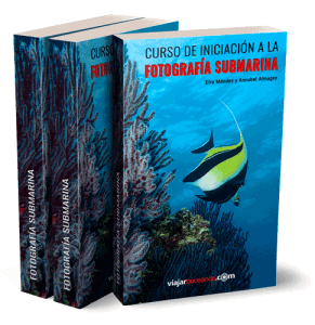 libro-pdf-curso-de-fotografia-submarina