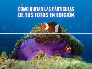 quitar-particulas-fotos-submarinas-edicion-photoshop-gimp