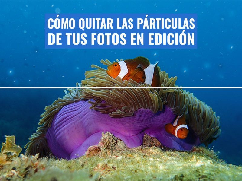 quitar-particulas-fotos-submarinas-edicion-photoshop-gimp