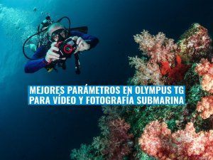 MEJORES PARÁMETROS DE LA OLYMPUS TG PARA VIDEO Y FOTOSUB