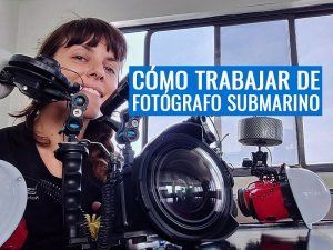 Trabajar como fotografo submarino articulo