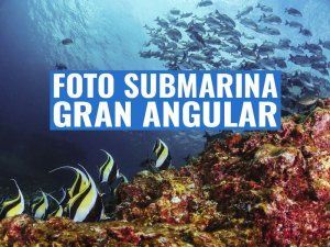 portada fotografia submarina gran angular
