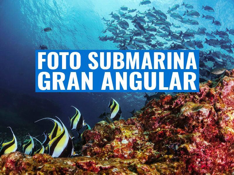 portada fotografia submarina gran angular