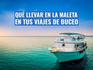 que llevar en la maleta viajes de buceo