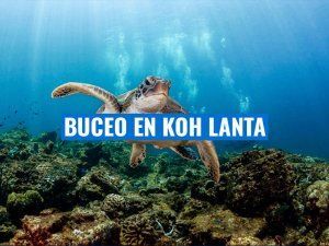 El buceo en Koh Lanta un destino que no te puedes perder