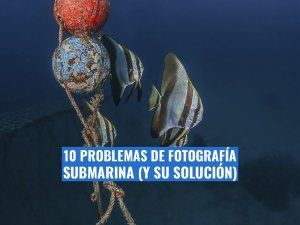 problemas de fotografia submarina comunes y su solucion