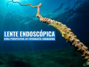 Lente endoscopica inon UFL M150 ZM80 como usarla