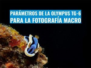 parametros de la tg6 para fotografia macro