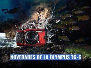 Reseña Olympus TG-6, novedades para fotografía submarina