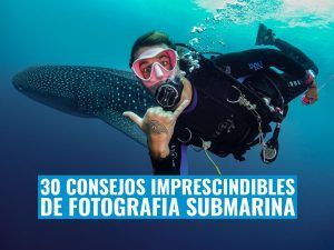 30 consejo de fotografia submarina imprescindibles