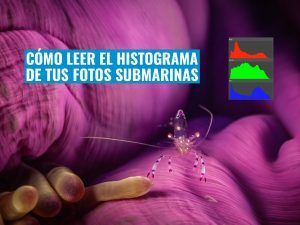 aprender a leer el histograma de tus fotografías submarinas