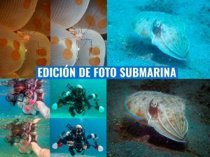 como editar tus fotografias submarinas