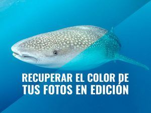 recuperar el color de las fotografias submarinas - corregir color fotos bajo el agua