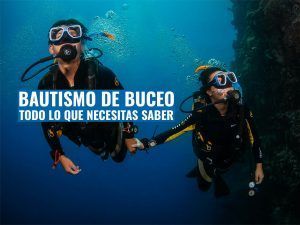 todo lo que necesitas saber sobre el bautizo de buceo - megaguia