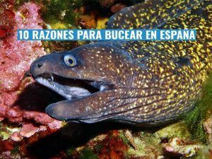 el buceo en españa