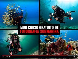 Mini Curso Gratuito Fotografía Submarina con Viajarbuceando